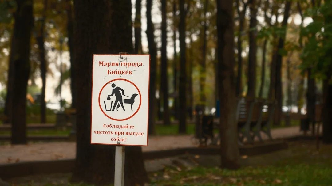 安全的公園約會場所