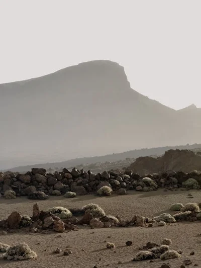 約會地點選擇終極指南：根據關係階段與對象性格的完美配對