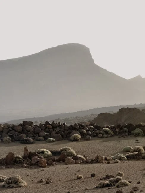 約會地點選擇終極指南：根據關係階段與對象性格的完美配對