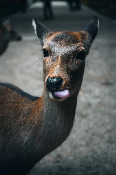 小眾交友App推薦：LGBTQ+友善、興趣配對、專業人士專屬平台評測